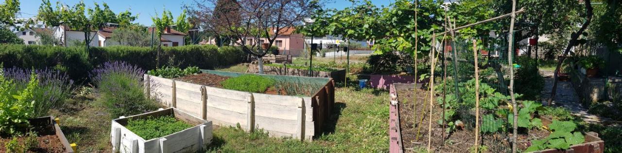 Apartment Sea View Rovinj Ngoại thất bức ảnh
